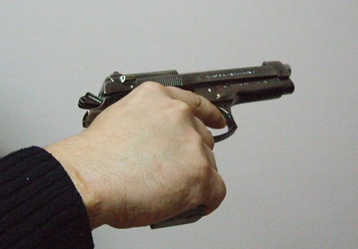 pistol512