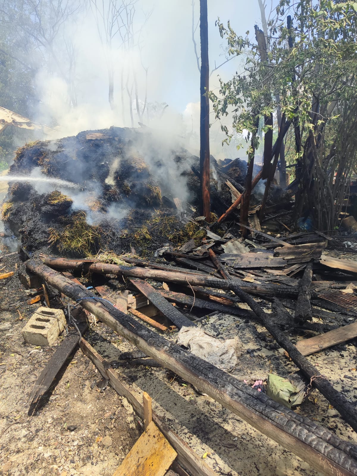 Tone De Furaje Distruse N Incendiu La G Rbeni Stiri Din Botosani