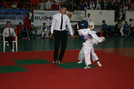 taekwondo30mai (1)