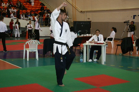 taekwondo30mai (7)