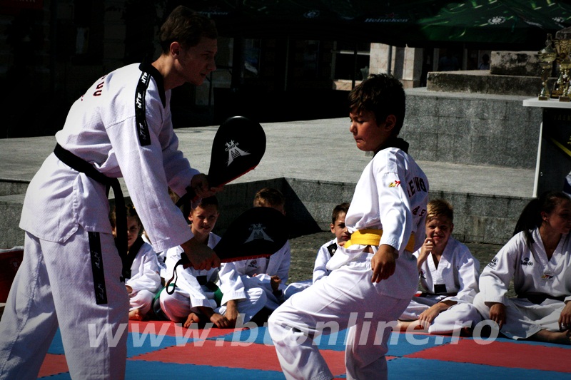 taekwondo (15)