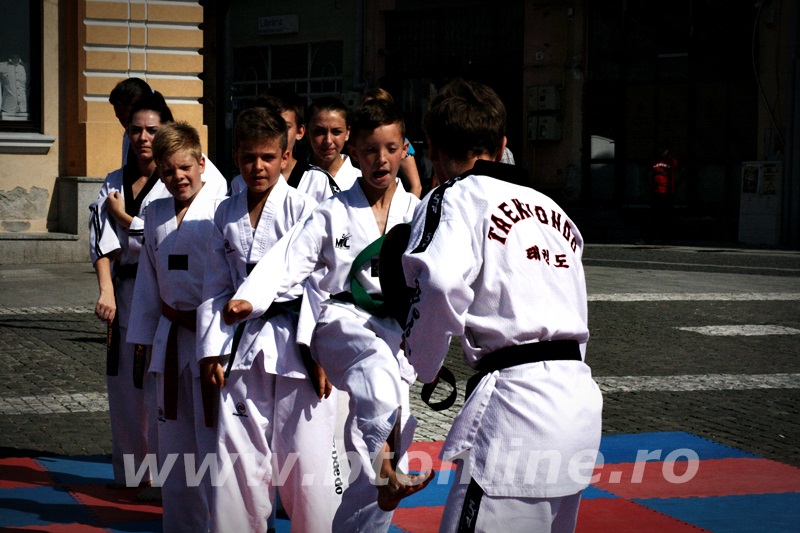 taekwondo (17)