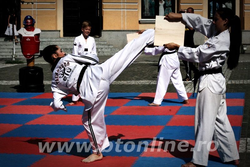 taekwondo (21)