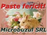 paste microbuzul