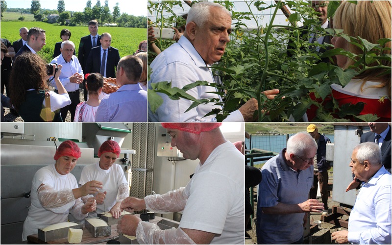 Petru Daea, ministrul Agriculturii, in judetul Botosani (0)