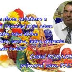 felicitare costel romanescu