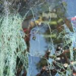 IMG-20250604-WA0035